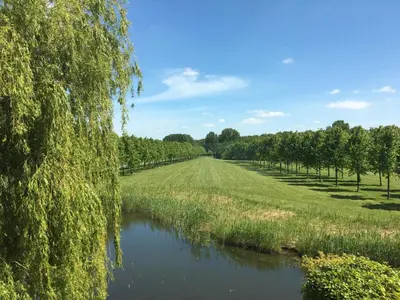 a view of a river with trees in the distance at Huis van Steen in Lelystad