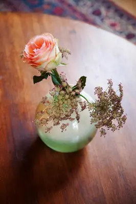 a pink rose in a vase on a table at Logement Swaenenvecht in Utrecht
