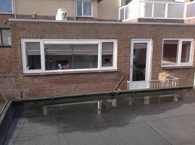 a building with a window with a dog in it at Apartment at the Beach in Noordwijk aan Zee