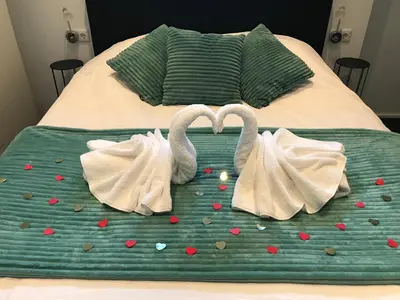 two swans making a heart shape on a bed at 4 Seasons Zandvoort in Zandvoort