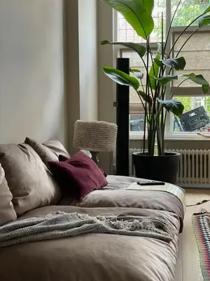 a bed with pillows and a plant in a room at Stylish * Sunny * Cosy House in Heemstede