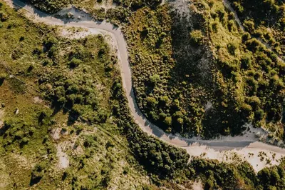 an overhead view of a winding road in the forest at Ocho in Zandvoort