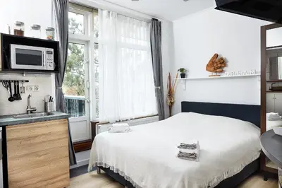 a bedroom with a bed and a sink and a microwave at Guest House Aquarius in Zandvoort