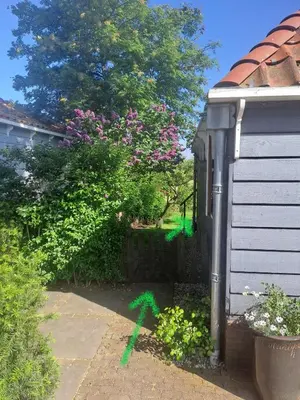 a garden with a fence and some flowers at Edam, Garden Room with private entrance and rural view in Edam