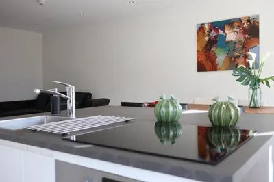 a kitchen counter with a sink and two green plants at Frankendael Apartments in Amsterdam