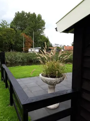 a plant in a pot sitting on a bench at Rietzicht in Alkmaar