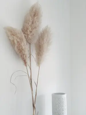 a pair of feathers in a silver vase at ECHT-Bergen in Bergen