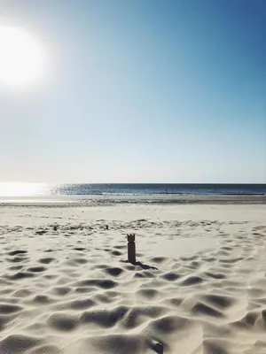 a stick in the sand on a beach at ECHT-Bergen in Bergen