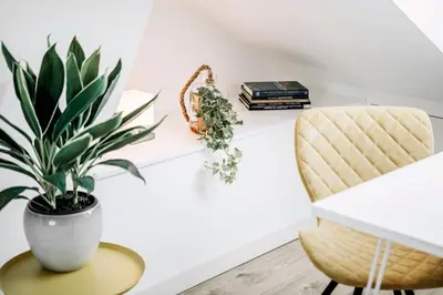 a white desk with a potted plant and two chairs at Zylt Zandvoort in Zandvoort