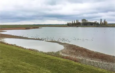 a flock of birds swimming in a large lake at Het Appelhuisje in Wijdenes