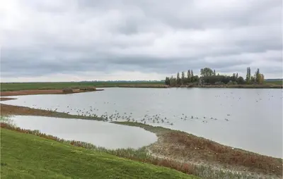 a flock of birds swimming in a large lake at Het Vissershuisje in Wijdenes
