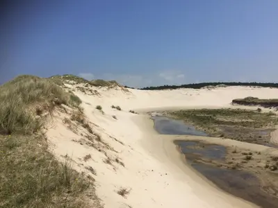 a sandy beach with a river in the middle at Atelier Zonnehoek in Bergen