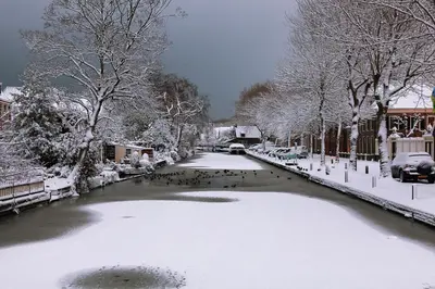 a river covered in snow with ducks swimming in it at De Krasse Man in Edam