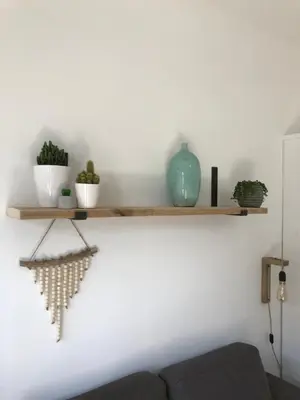 a shelf on a white wall with plants on it at Lodge in Noordwijk
