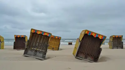 a row of beach chairs sitting on the beach at Sauna Cottage Egmond in Egmond aan Zee