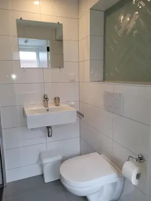 a white bathroom with a sink and a toilet at Sauna Cottage Egmond in Egmond aan Zee