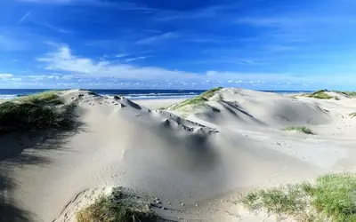 a group of sand dunes next to the ocean at Casa Nuestra in Egmond aan Zee
