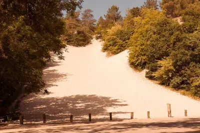 a sand hill with trees and a fence on it at Dutchen Vakantiepark Duynvoet in Schoorl