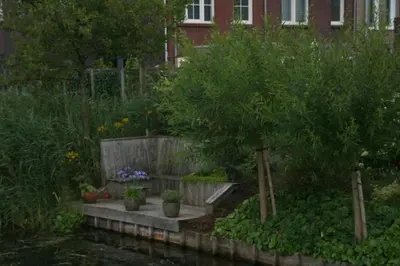 a garden with a pond and a tree in front of a house at B&B Het kasteel in Almere