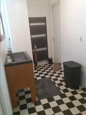 a cat sitting on a checkered floor in a bathroom at B&B Het kasteel in Almere