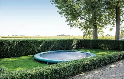 a blue trampoline in the middle of some bushes at Hoeve Alegria in Hoogwoud