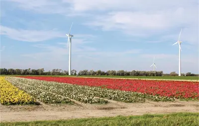 a field of tulips with windmills in the background at Hoeve Alegria in Hoogwoud