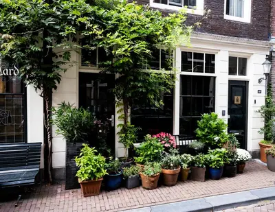a bunch of potted plants in front of a building at The Blossom House Amsterdam in Amsterdam