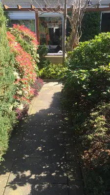 a sidewalk in front of a house with flowers at Cozy room in residential Alkmaar - Free parking in Alkmaar