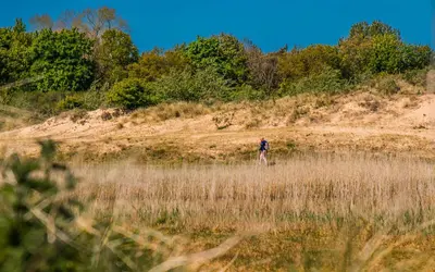 a man walking through a field of tall grass at Hotel Neptunus in Egmond aan Zee
