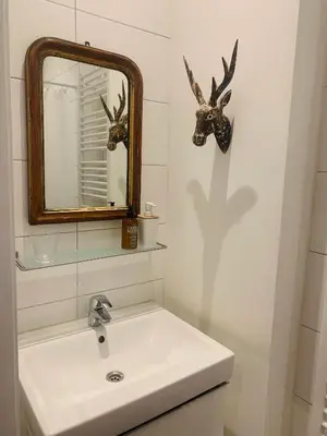 a bathroom with a sink and a mirror with deer heads on the wall at De Pelgrimsplaats in Leiden