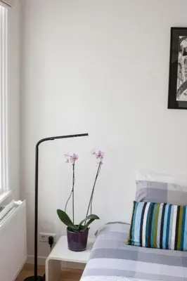 a potted plant sitting on a table next to a bed at Kuwadro Guesthouse Centrum in Amsterdam
