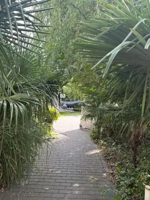 a brick path through a greenhouse with palm trees at Amsterdam Area Residence Oosterwold in Almere