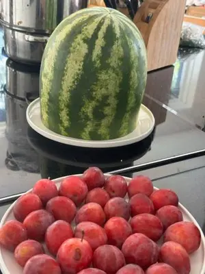 a bowl of apples and a watermelon on a counter at Amsterdam Area Residence Oosterwold in Almere