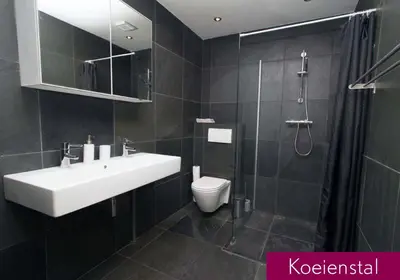 a bathroom with a sink and a toilet and a shower at Hannahhoeve Private House with wifi and free parking for 1 car in Weesp