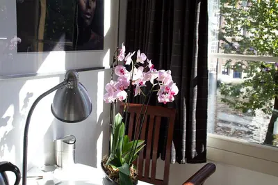 a vase of pink flowers on a desk next to a window at Velvetamsterdam in Amsterdam