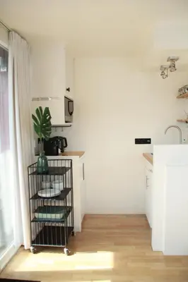 a kitchen with a plant in a cage next to a sink at Houseboat Studio Sooki in Amsterdam