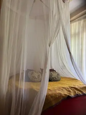 a white canopy bed with two pillows in a bedroom at Bohemian loft in Amsterdam
