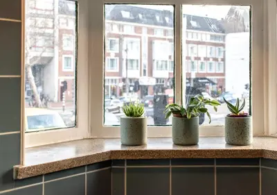 three potted plants sitting on a window sill at SWEETS - Overtoomsesluis in Amsterdam