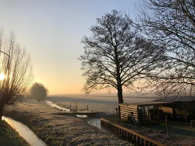 a snow covered path with a tree next to a field at Slapen op het platteland in Bodegraven