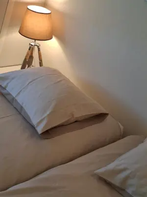 a bed with a pillow and a lamp on it at LandLust Guesthouse B&B Amsterdam Area Purmerend in Purmerend