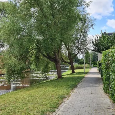 a sidewalk next to a river with a tree at LandLust Guesthouse B&B Amsterdam Area Purmerend in Purmerend
