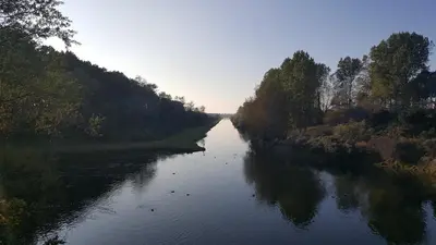 a river with trees on both sides of it at Near the Beach in Zandvoort