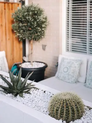 a patio with two potted plants and a couch at Casa del Mar Zandvoort in Zandvoort
