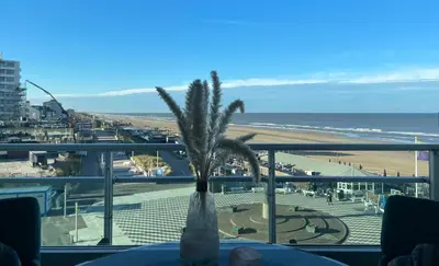 a palm tree in a vase on a balcony with the beach at Studio Maxime in Zandvoort