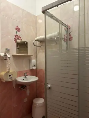 a bathroom with a shower with a toilet and a sink at Hotel Isis in Amsterdam