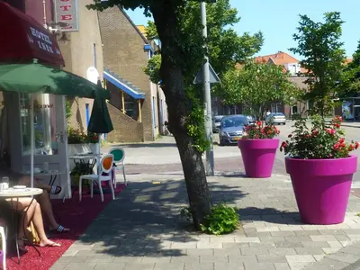 a street with large pots of flowers and a tree at Hotel Isis in Amsterdam