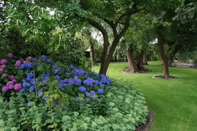 a garden with purple and blue flowers and trees at Villa Braas in Breukeleveen