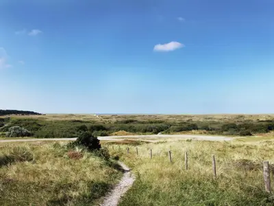 a road in the middle of a field with a fence at Villa in Schoorldam with Garden in Schoorldam