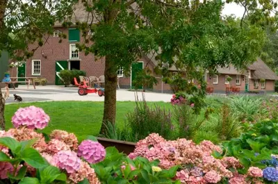 a garden with pink flowers in front of a building at Apud nos Domi in Polsbroek