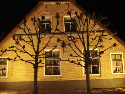 a group of birds sitting on the branches of two trees at Apud nos Domi in Polsbroek
